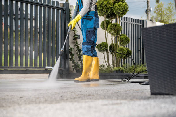 Best Dumpster Area Cleaning  in Hewlett, NY